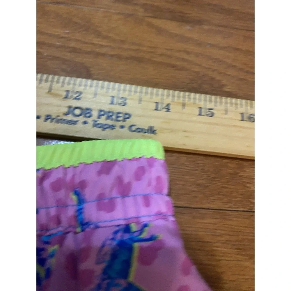 Chubbies Classic Swim Trunks‎ The The Dino Delights 5.5